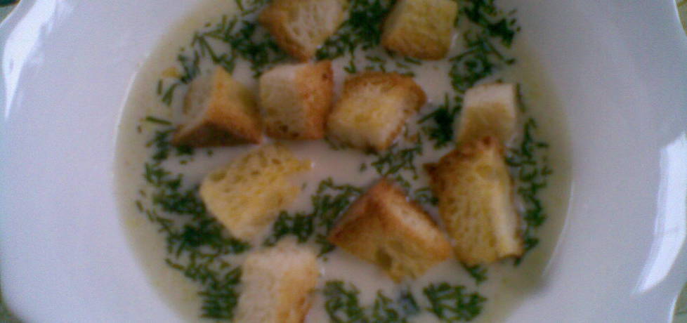 Zupa z serka topionego (autor: miroslawa4)