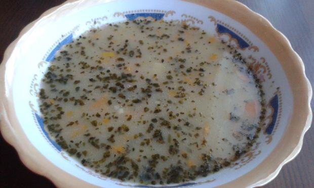 Przepis  zupa z fasolki szparagowej przepis