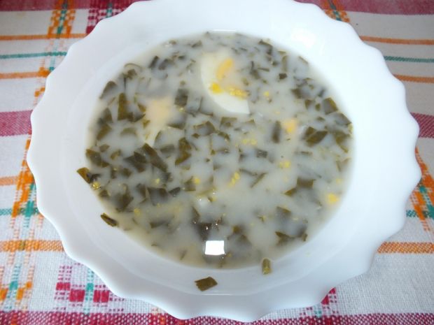 Zupa szczawiowa  zupy