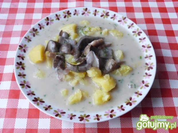 Przepis  zupa z grzybów leśnych z koperkiem przepis