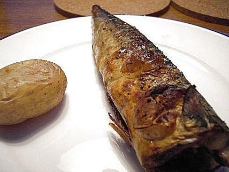 Przepis  makrela z grilla przepis