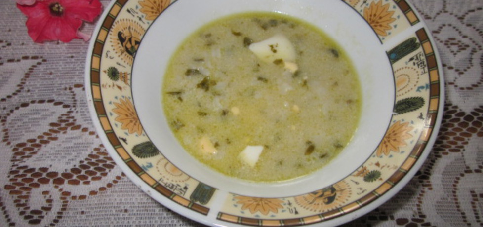 Zupa szczawiowa (autor: halina17)