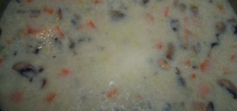 Zupa pieczarkowa na bazie rosołu (autor: mariola21 ...