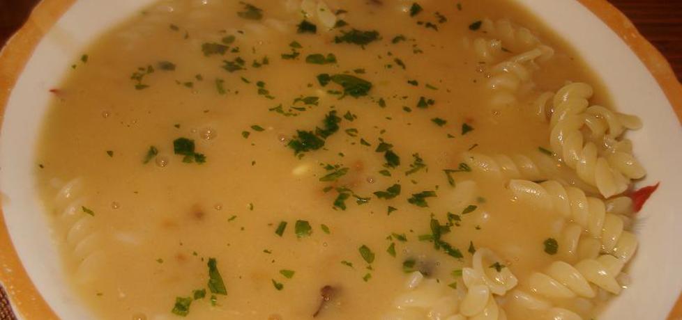 Zupa grzybowo- serowa (autor: ania67)