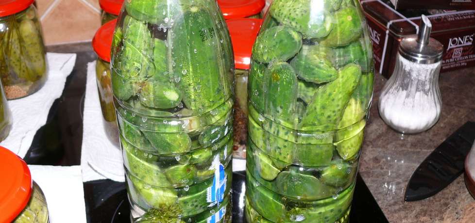 Ogórki kiszone w butelkach (autor: miodunka)