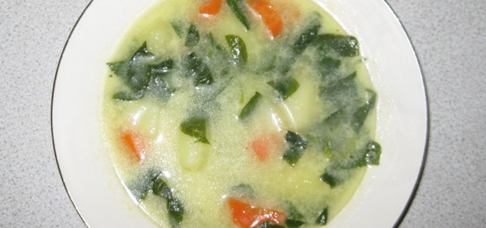 Zupa szpinakowa (autor: krystyna32)