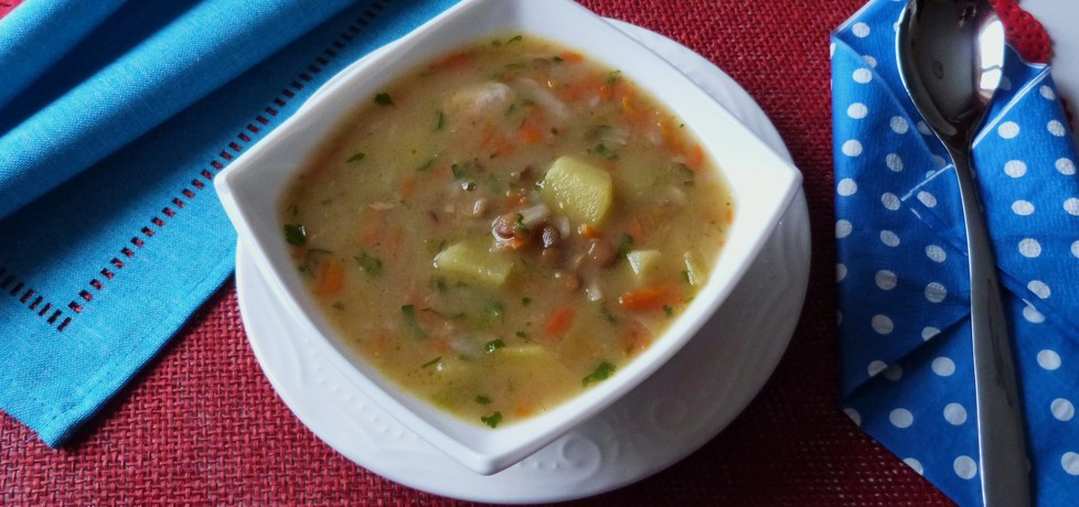 Zupa warzywna z soczewicą (autor: renatazet)