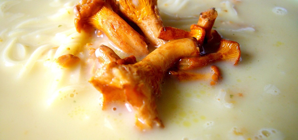 Kremowa zupa z kurek z serkiem topionym (autor: elexis ...