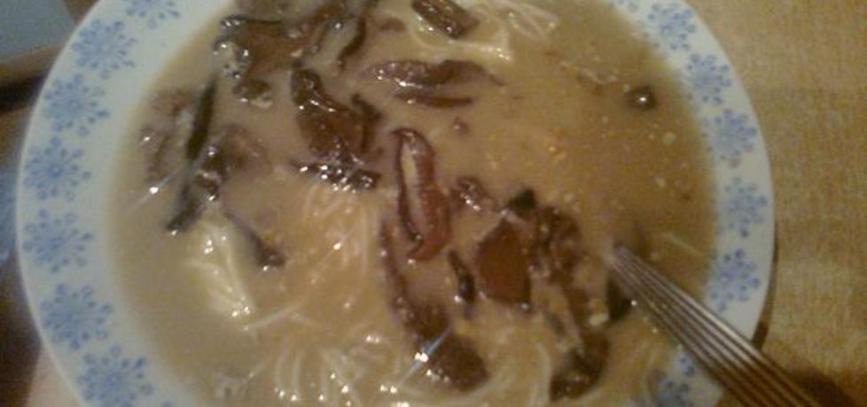 Zupa grzybowa z makaronem (autor: berys18)
