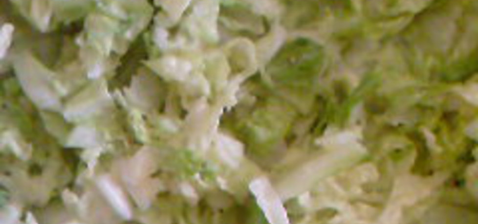 Zielona sałatka do obiadu (autor: kotlet)