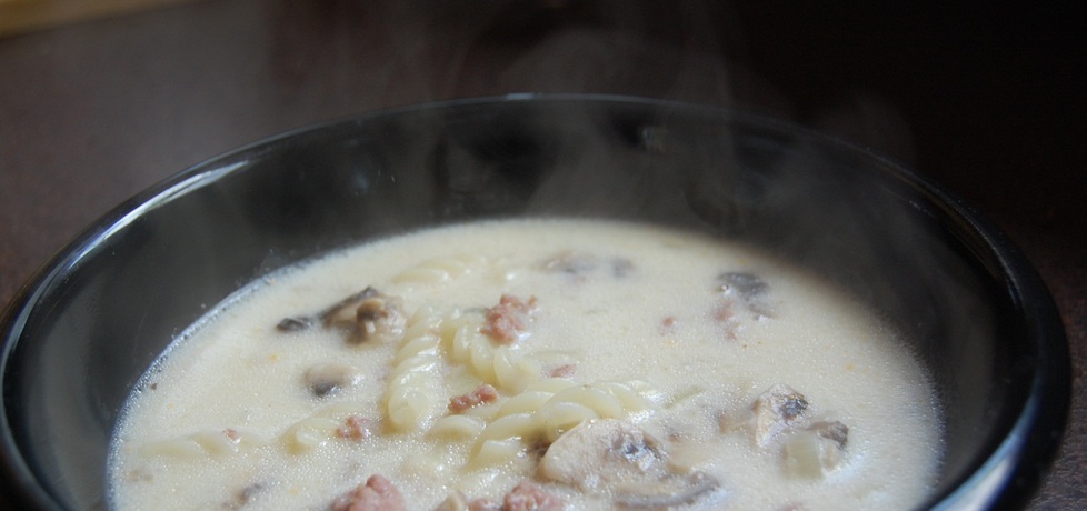 Zupa z mięsa mielonego (autor: joanna46)