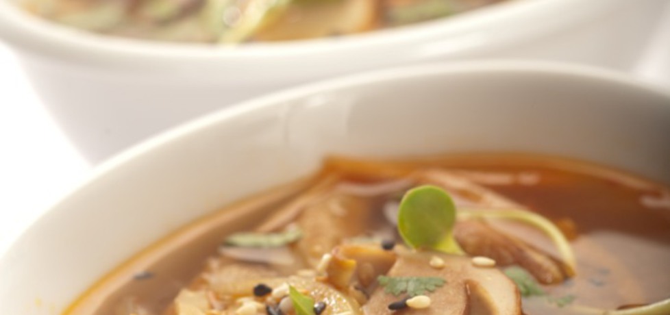 Orientalna zupa z grzybów leśnych ze świeżą kolendrą i ziarnami ...