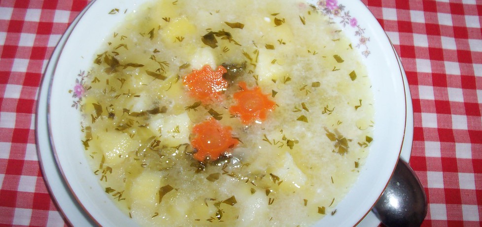 Zupa ogórkowa (autor: pestka)