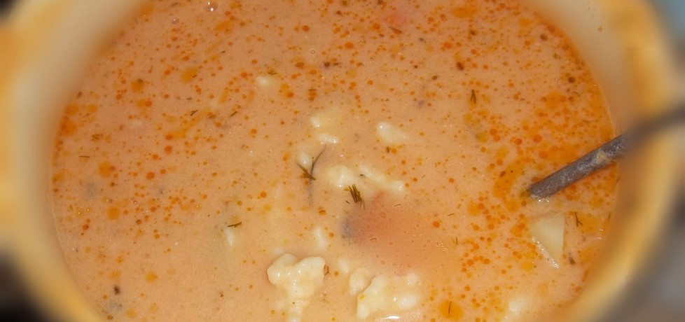 Zupa pomidorowa z kluskami lanymi (autor: ewelinapac ...