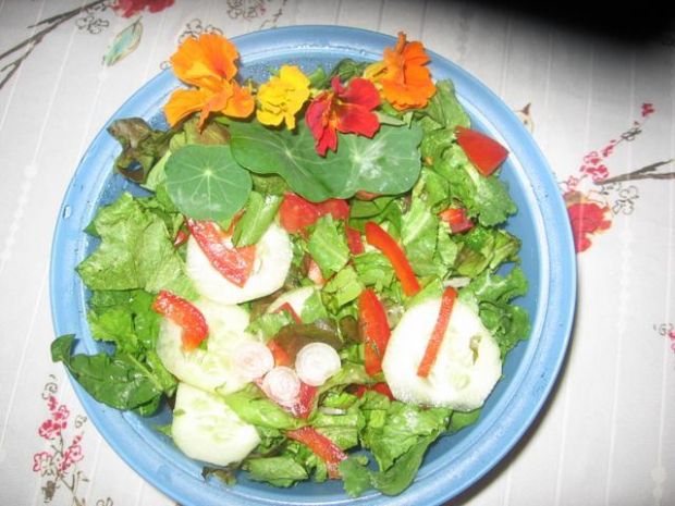 Przepis  letnia salatka z ogrodu babci grazyny przepis