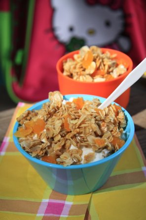 Miodowa granola (domowe musli)