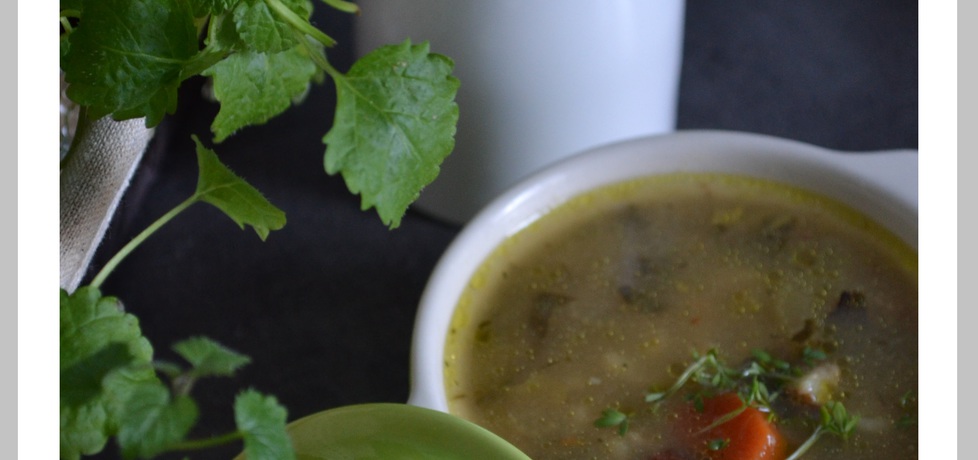 Zupa warzywna z liściem kalarepki i pęczakiem (autor: wyattearp ...