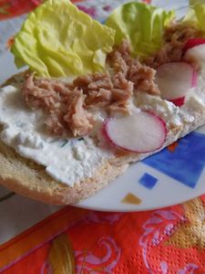 Wiosenna kanapka z tuńczykiem