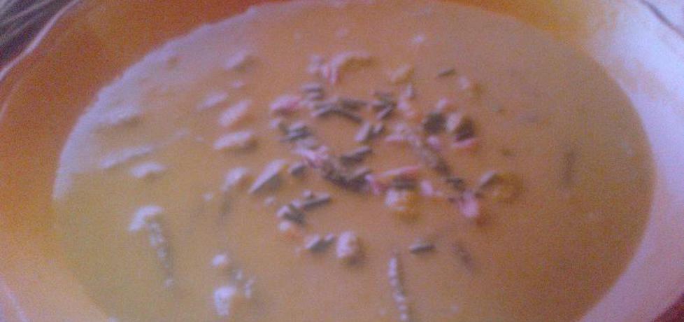 Zupa z fasoli szparagowej (autor: smakosz1988)