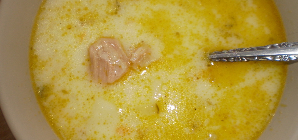 Zupa ogórkowa na żeberkach (autor: iwona56 ...