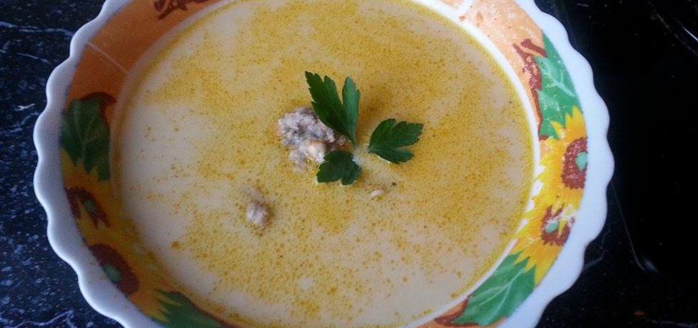 Zupa serowa z klopsikami (autor: paulasucha)