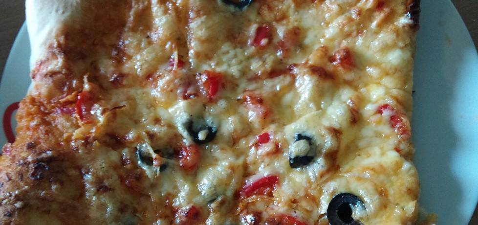 Pizza z suszonymi pomidorami, oliwkami i pesto (autor: alexm ...