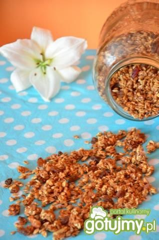 Przepis  domowa granola przepis