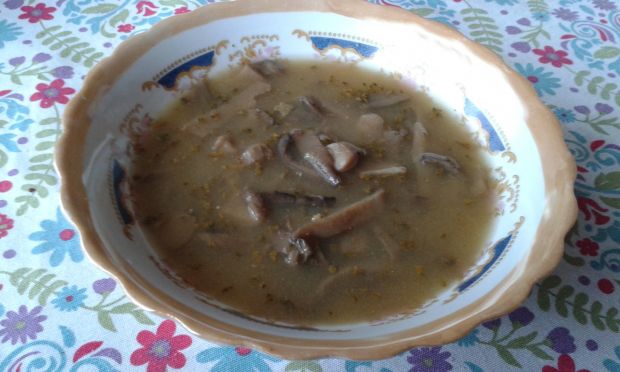 Przepis  pikantna zupa z boczniaków przepis