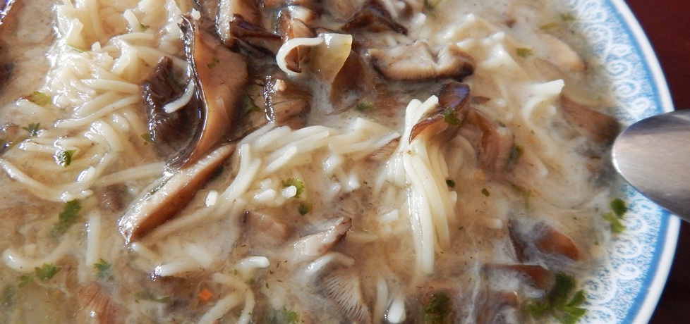 Zupa grzybowa zabielana z makaronem (autor: habibi ...