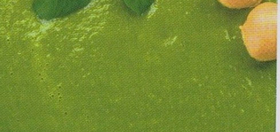 Zupa krem z zielonego groszku (autor: polly66)