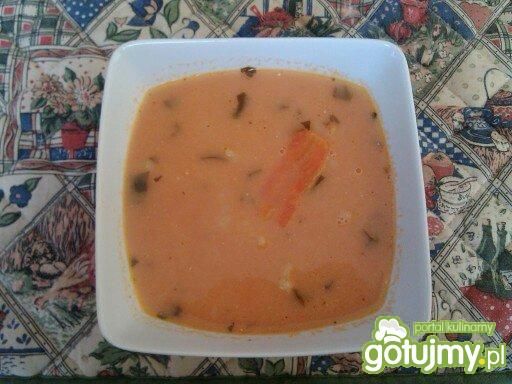 Przepis  zupa pomidorowa z curry przepis