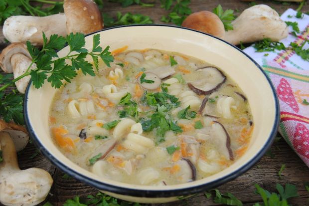 Zupy: zupa ze świeżych leśnych grzybów