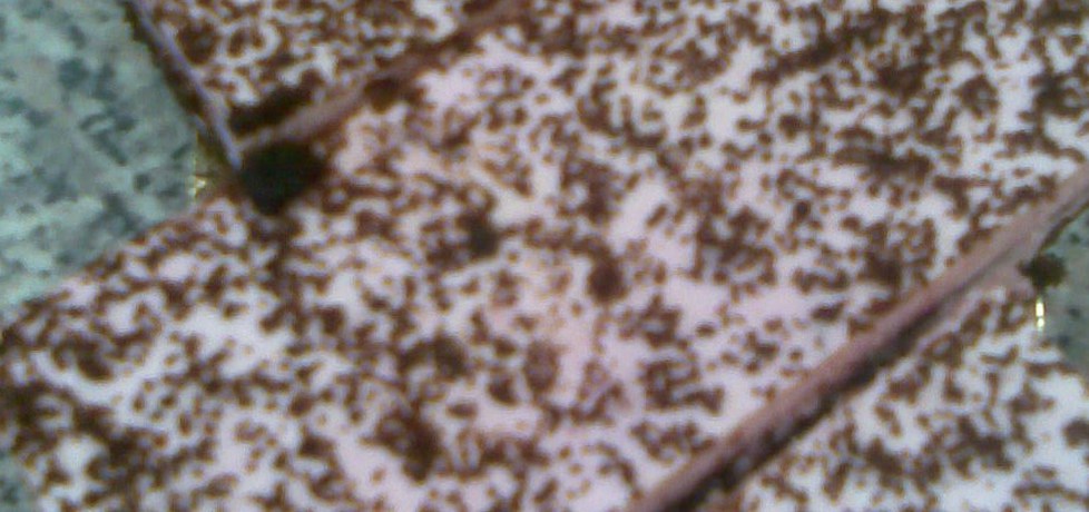 Ciasto piernikowe z kremem (autor: margo1)
