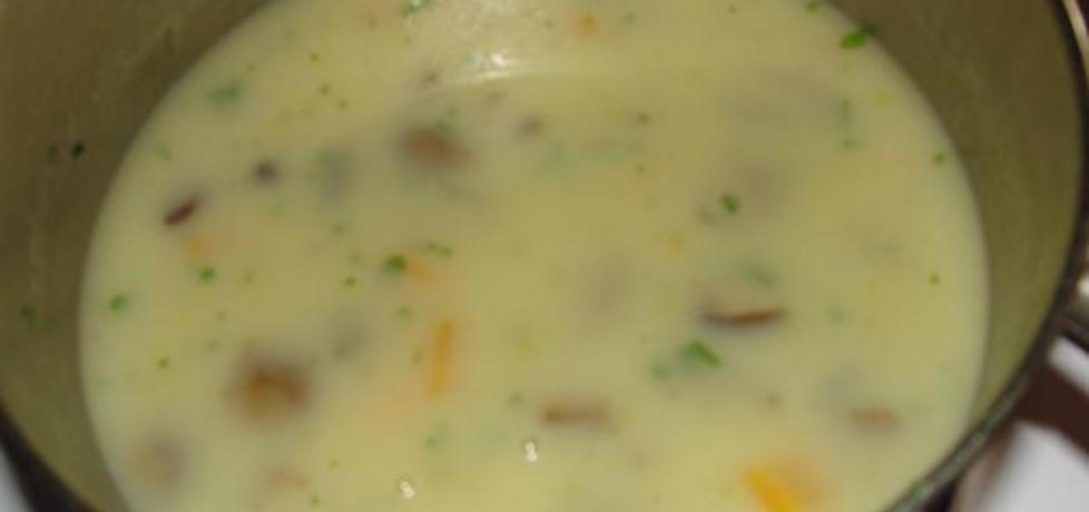 Zupa grzybowa (autor: agata1722)