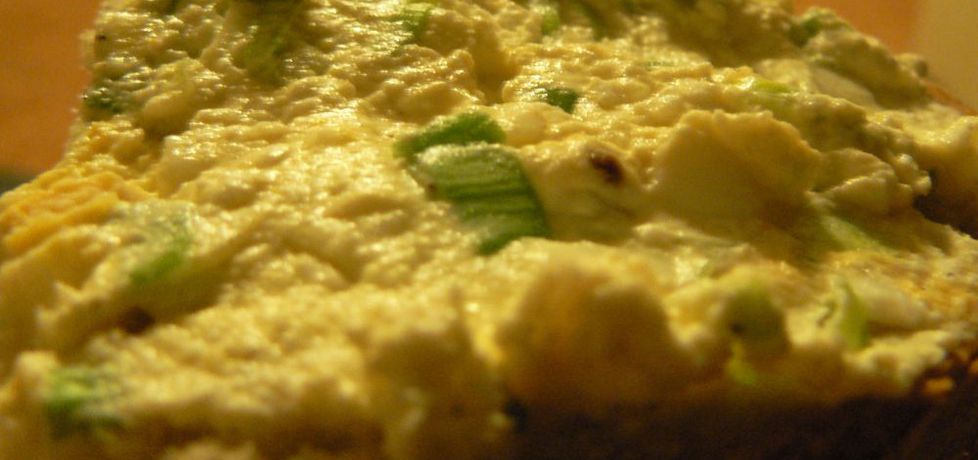 Pasta serowo-porowa do kanapek (autor: goofy9)