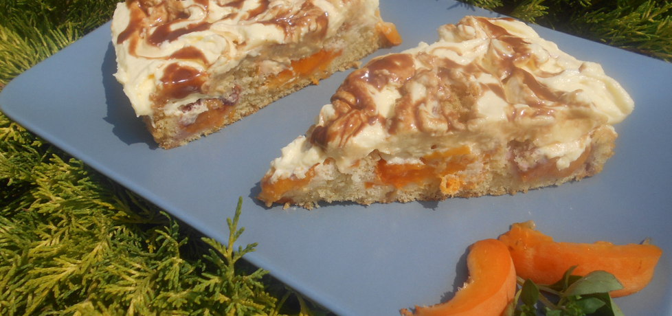 Ciasto z morelami i nektarynkami (autor: beatris)