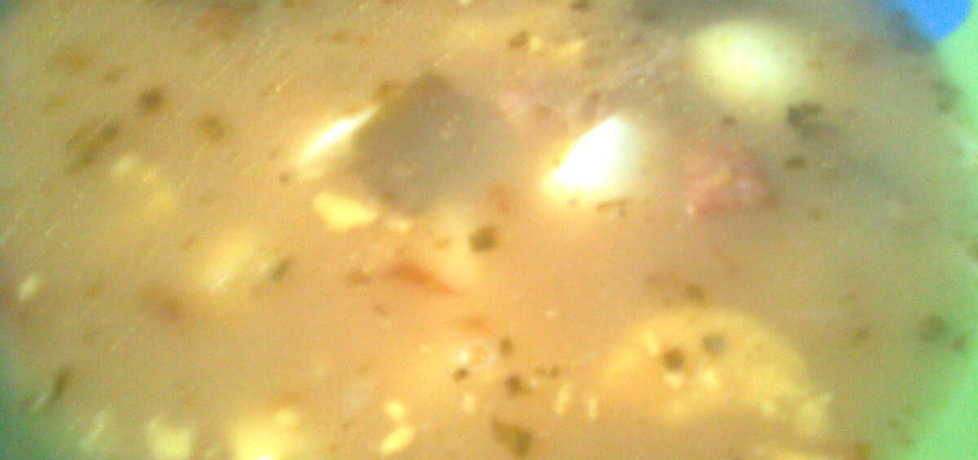 Zupa szczawiowa z jajkiem (autor: agata1722)