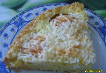 Ciasto jabłkowo  kokosowe