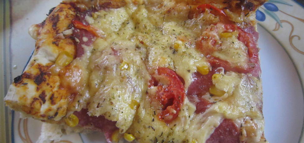 Pizza salami (autor: kate131)