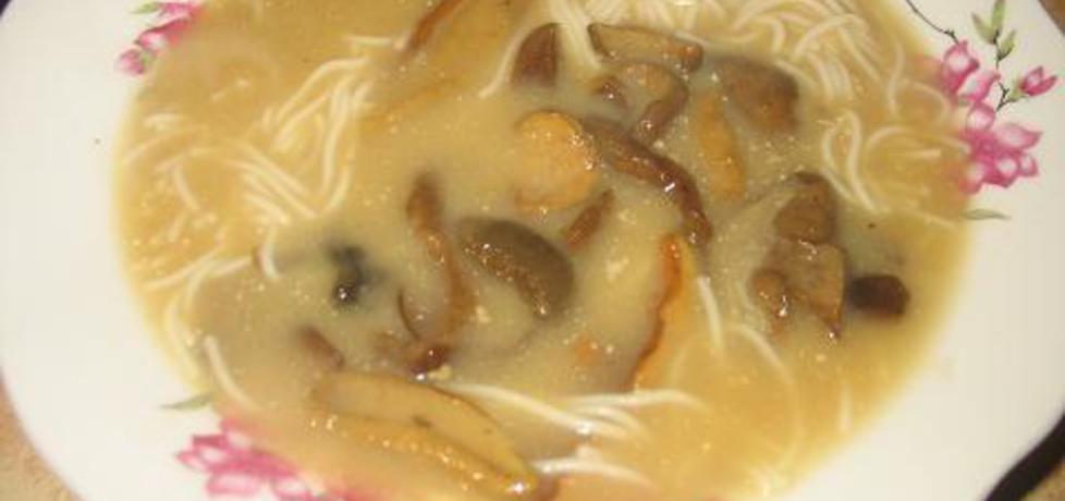 Zupa grzybowa z makaronem (autor: berys18)