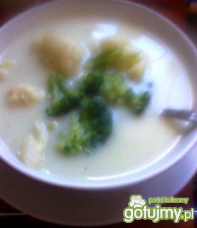 Przepis  zupa dwukolorowa z kalfiora i brokuła przepis