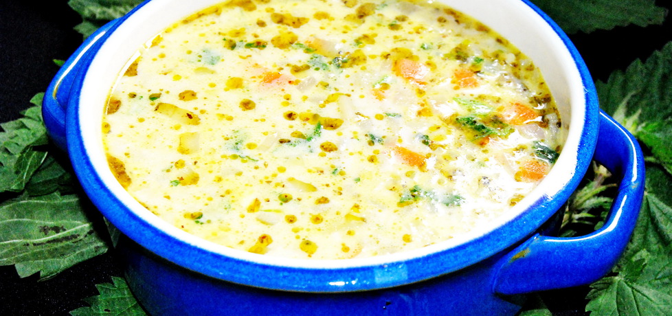 Zupa wiosenna z pokrzywy (autor: rng-kitchen)