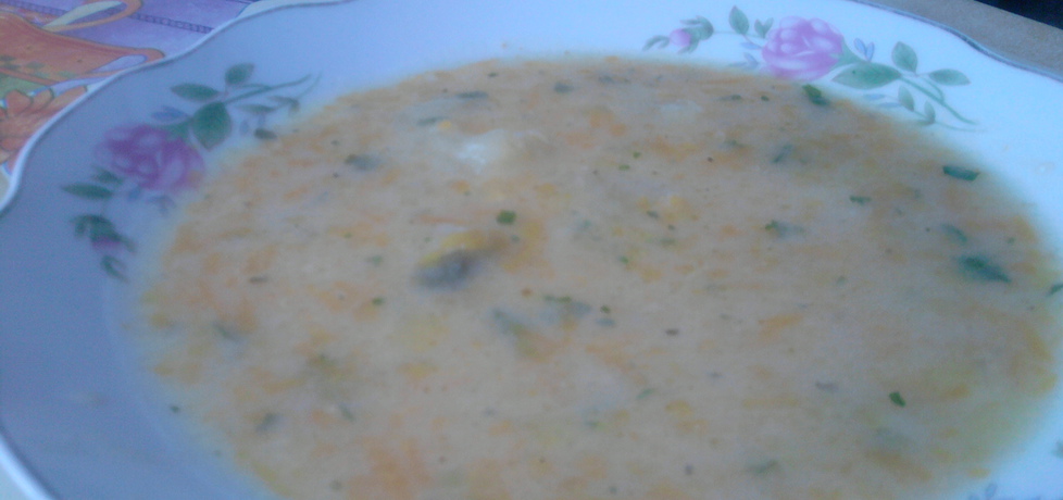 Zupa marchewkowa (autor: hanna11)