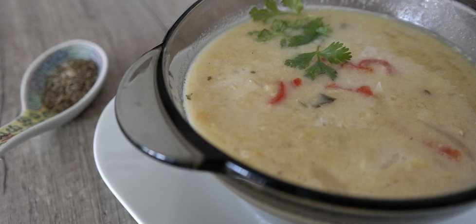 Zupa z czerwonej soczewicy i chili (autor: hrabina-w