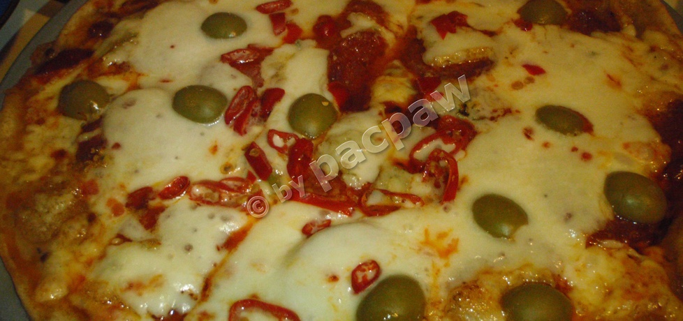 Pizza pełnoziarnista 3 sery (autor: pacpaw)