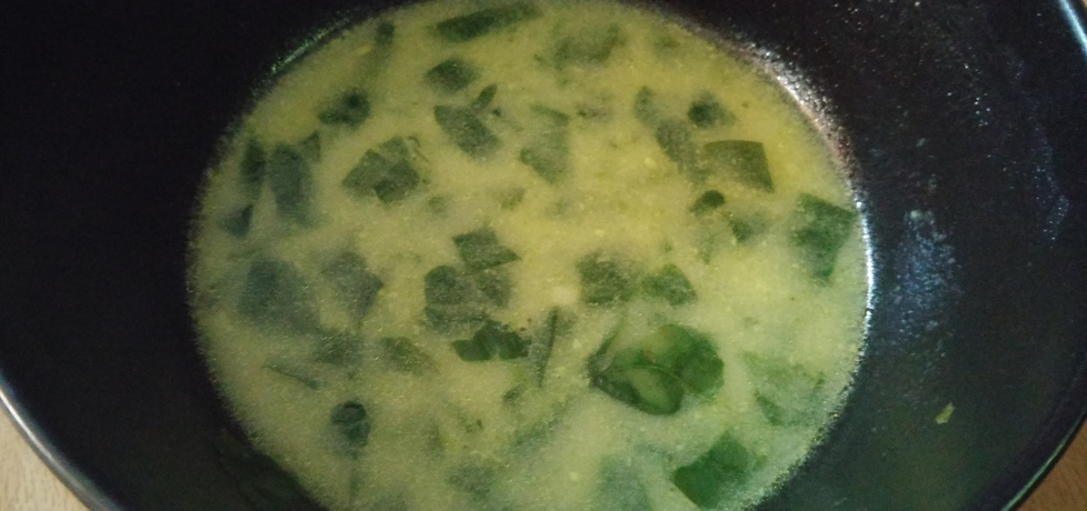 Zupa ze świeżego szpinaku (autor: agataw1990)