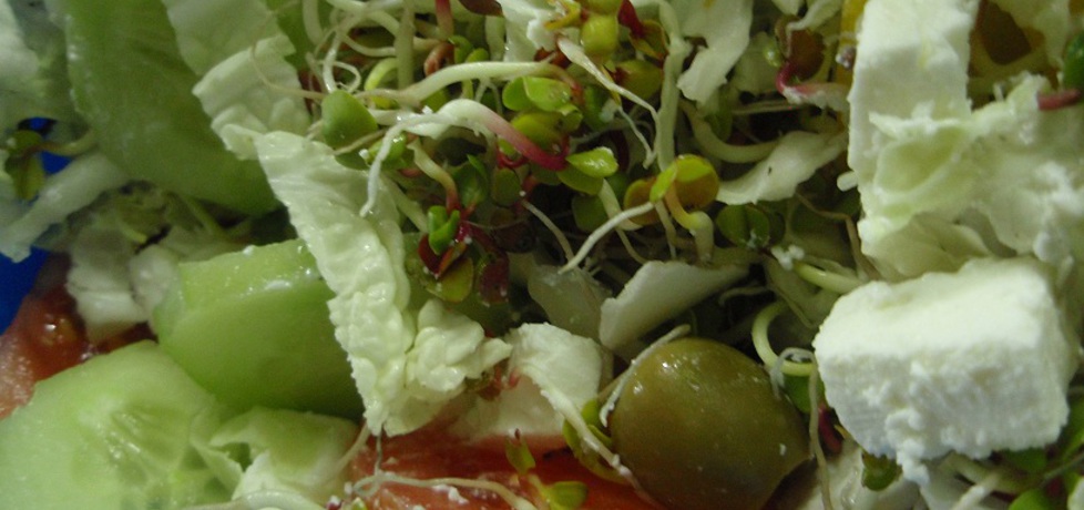 Sałatka z fetą i oliwkami (autor: karolciazip)