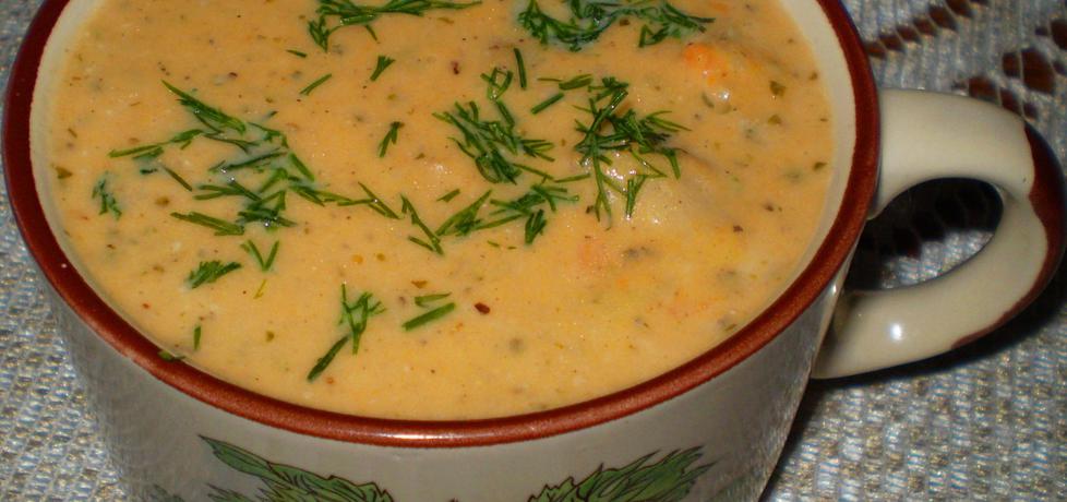 Zupa z żółtej brukwi : (autor: babciagramolka)