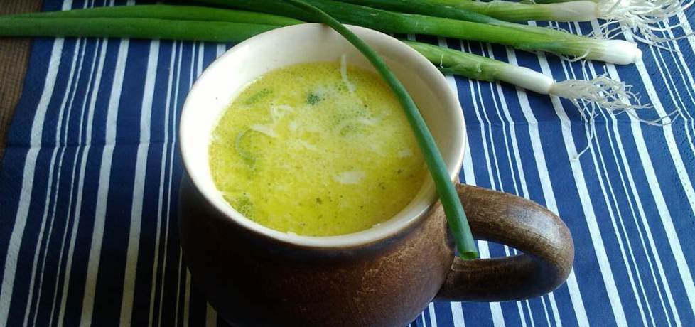 Duńska zupa porowa z zieloną cebulką (autor: konczi ...
