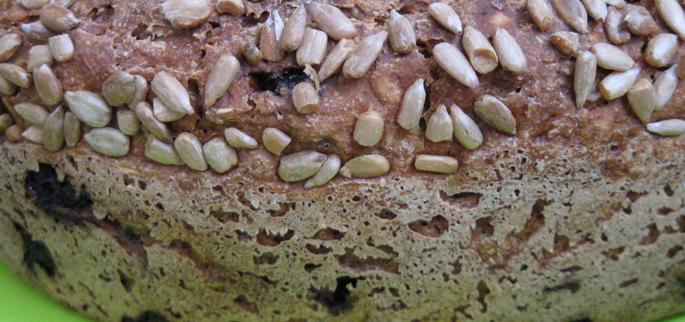 Chleb na zakwasie z żurawiną (z prodiża) (autor: kasienka23 ...